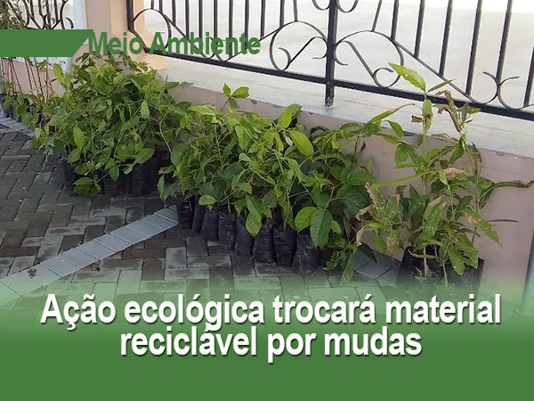 Ação ecológica trocará material reciclável por mudas